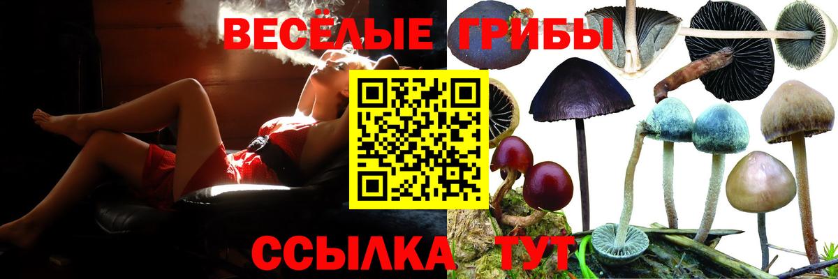Галлюциногенные грибы мицелий  Вход с VPN  Строитель 